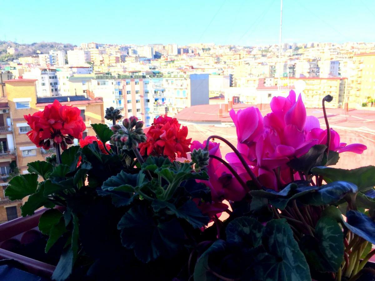 Suite Delicia Apartment - Appartamento Con Terrazza Napoli Eksteriør bilde
